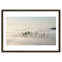 Misty Peaks: Pine Forest Above the Clouds