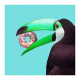 Sweet Toucan (Print Only) thumbnail