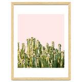 Cactus Blush #society6 #decor #buyart thumbnail