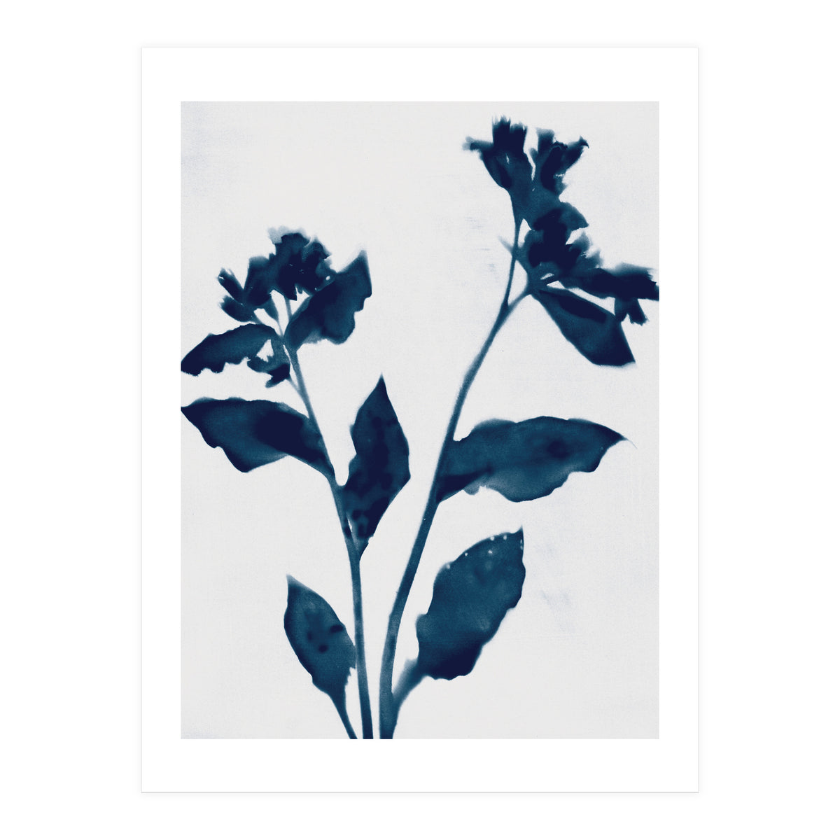 Indigo Blue Flower Silhouette 2 (Print Only)