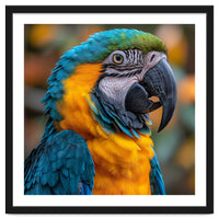 Blue And Yellow Macaw Parrot Close Up Portrait