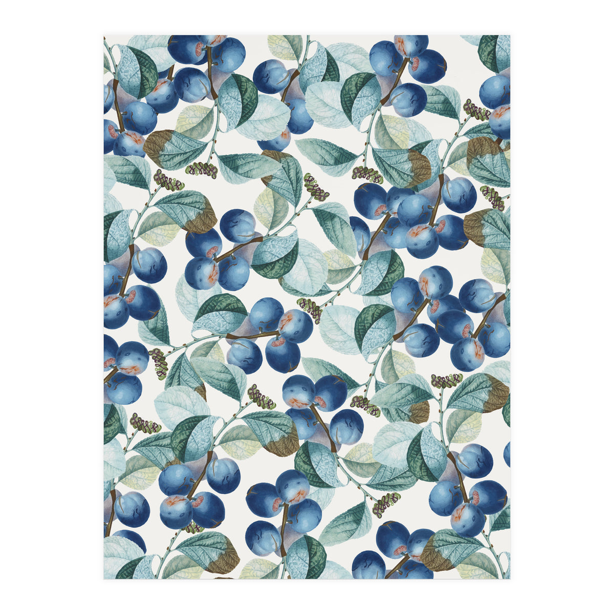 Plum Plum #society6 #decor #buyart (Print Only)