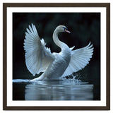 Majestic White Swan Spreading Wings On Water thumbnail