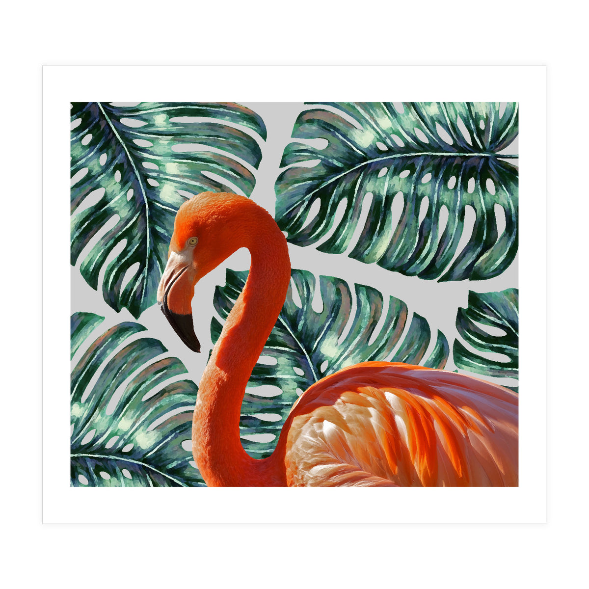 Flamingo Self Portrait (Print Only)