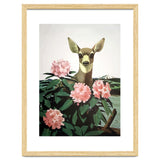 Japan, Doe in Blossom Bush thumbnail