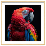 Scarlet Macaw Parrot Close Up Portrait thumbnail