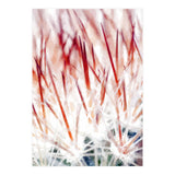 Delicate Florals (Print Only) thumbnail