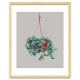 Hanging Plant thumbnail