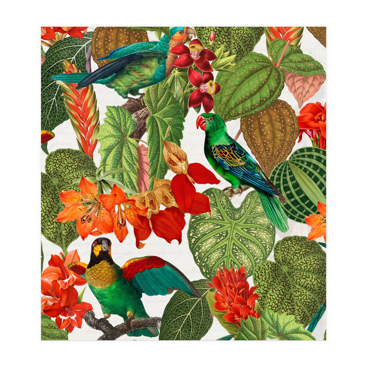 Tropical Parrots In Flower Jungle  (Print Only)