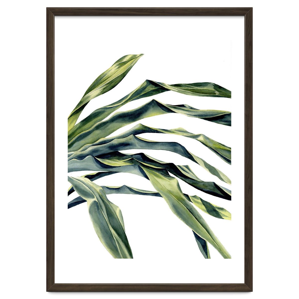 Green Palm Leaves