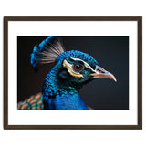 Close Up Peacock Head Blue Green Feather thumbnail