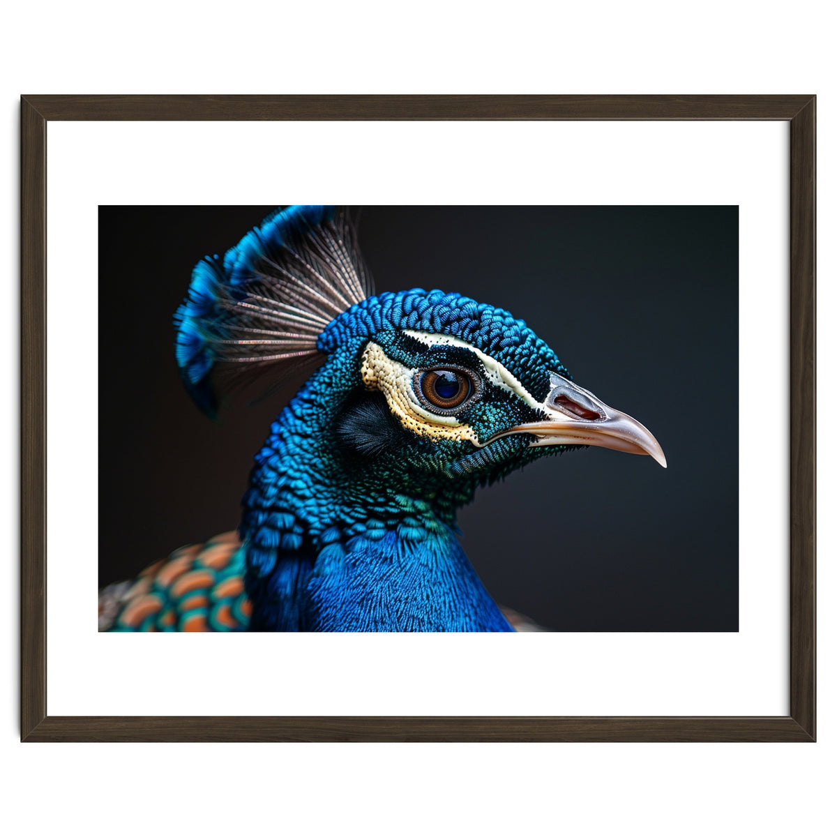Close Up Peacock Head Blue Green Feather