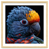 Close Up Vibrant Parrot Eye thumbnail