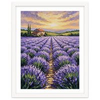 Visions of Provence