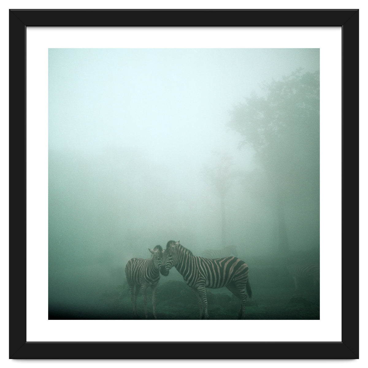 Silence of breath - 11