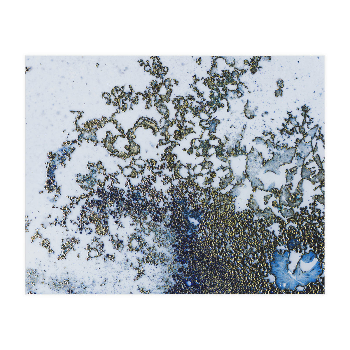 Coral Rising (Print Only)