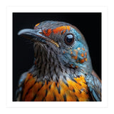 Close Up Of A Colorful Exotic Bird Head (Print Only) thumbnail