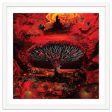 Socotra Dragon Blood tree thumbnail