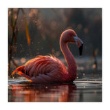 Pink Flamingo Swimming In Sunlight Water (Print Only) thumbnail