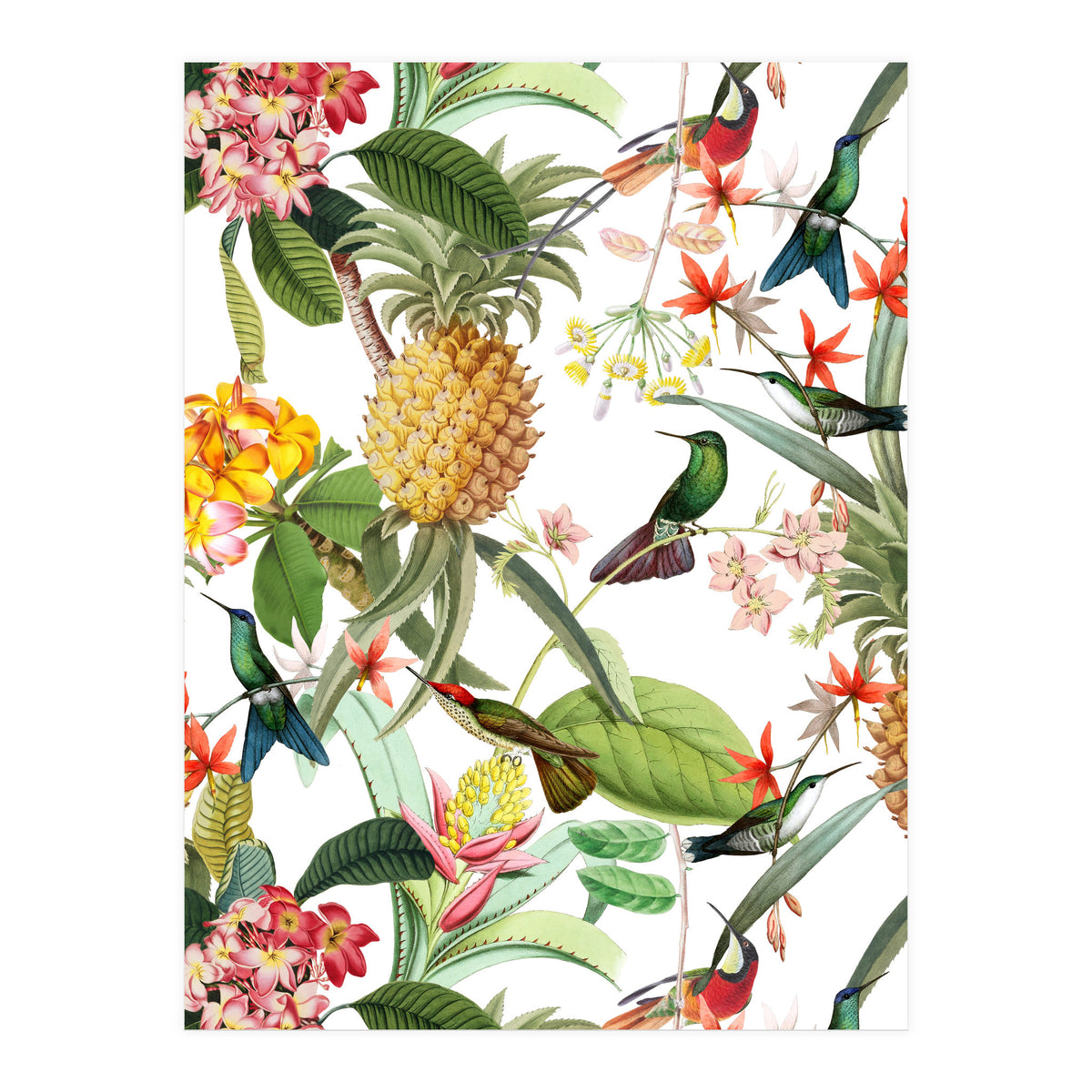 Hummingbirds in tropical Jungle (Print Only)