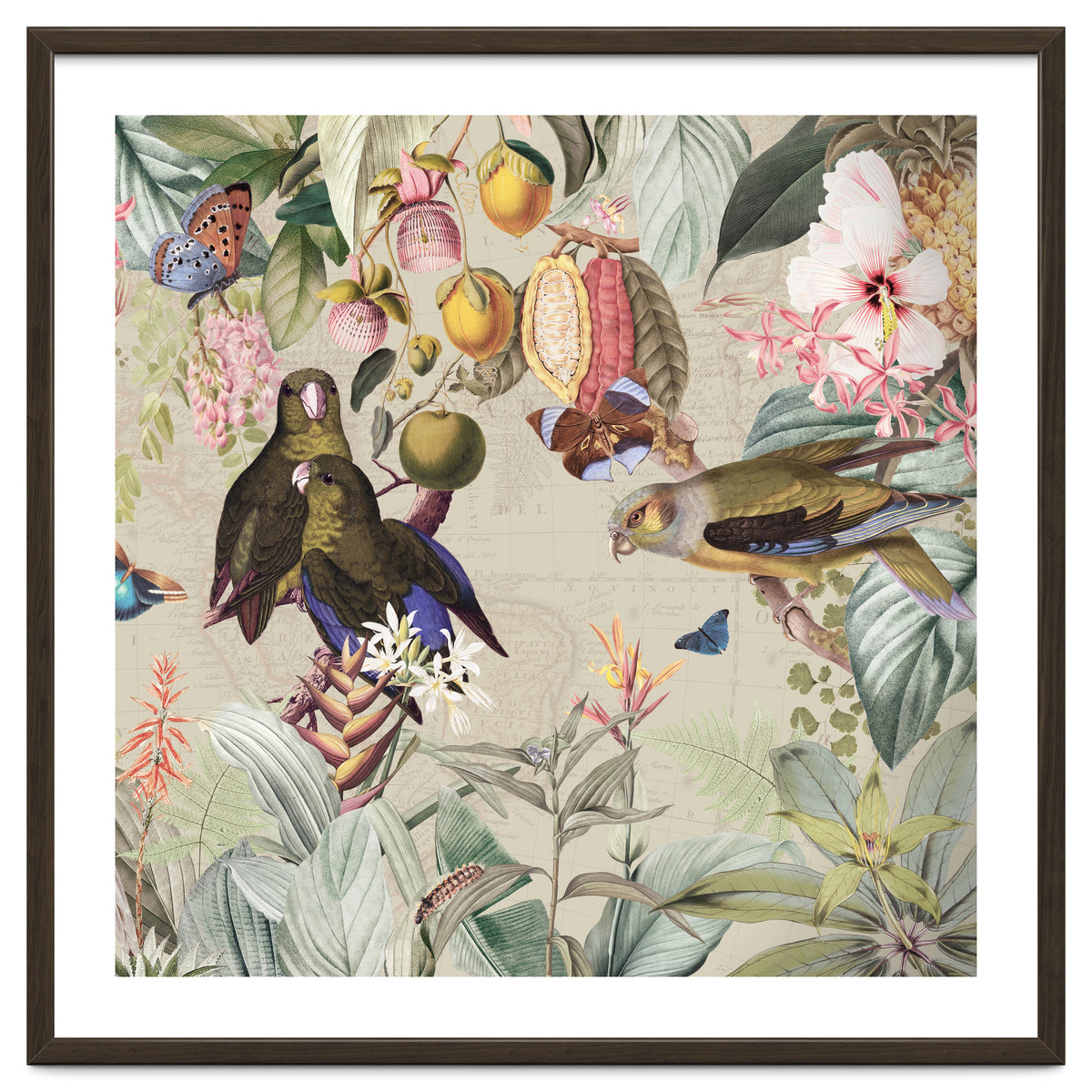 Colorful Parrots And Butterflies In Flower And Fruit Tropical Jungle