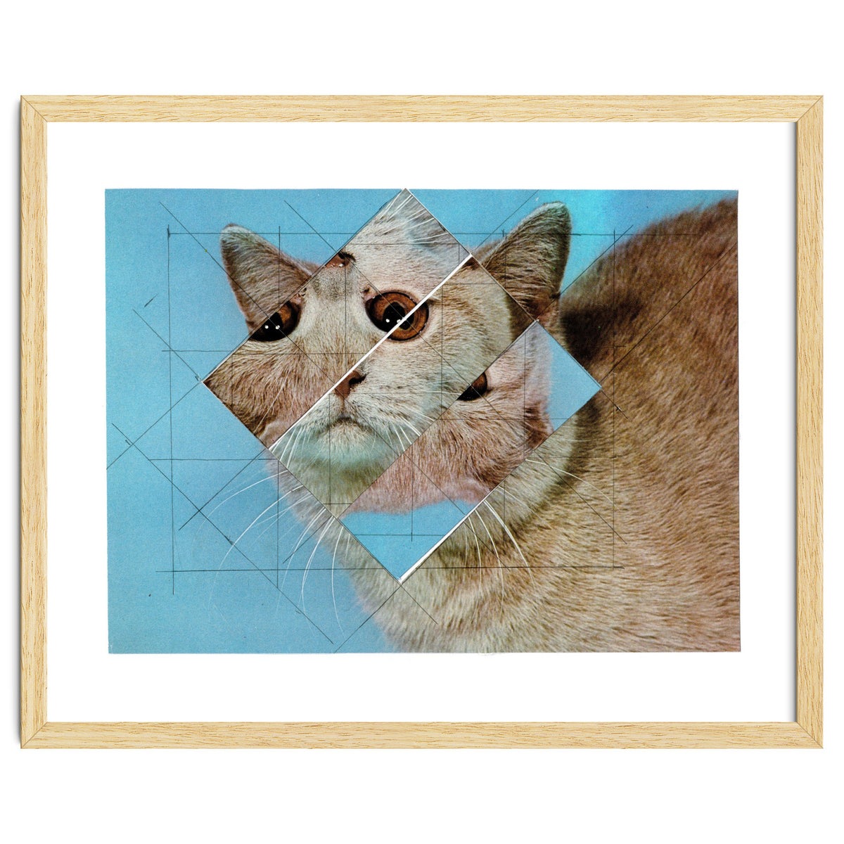 The Depressive Cat Am Abend Bekommt Den Blues