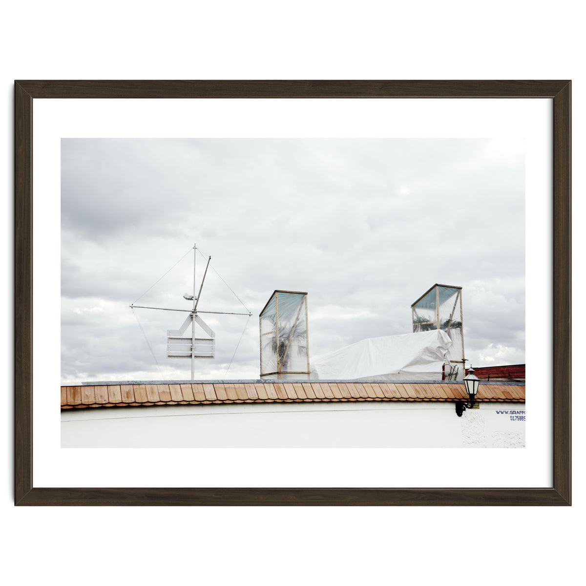 Palm tree waiting for summer