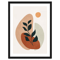 Soft Shapes II