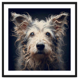 Old Dog 07 thumbnail