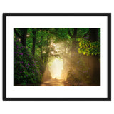 Hare in paradise thumbnail