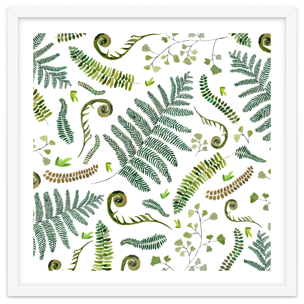 Spring Fern Pattern