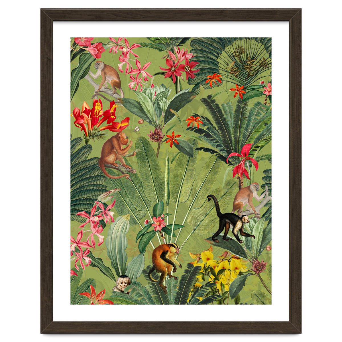 Monkeys In Tropical Jungle Paradise