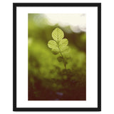 Out of the green thumbnail