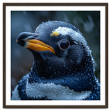 Macro view of a Penguin with Water Droplets thumbnail