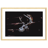 Deer Skull thumbnail