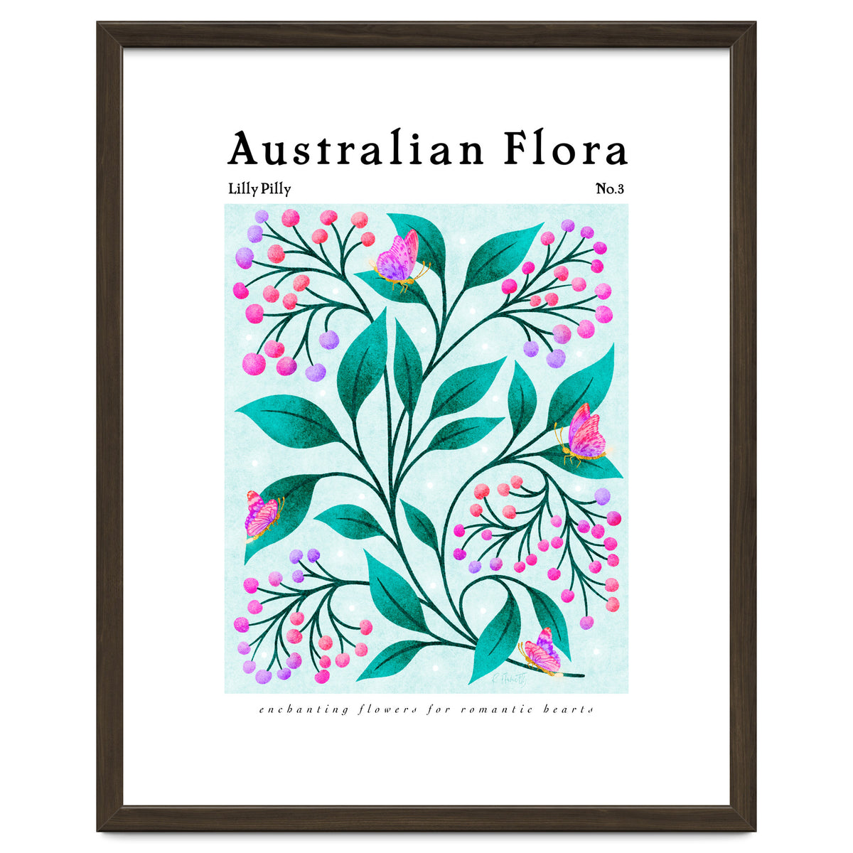 Australian Flora: Lilly Pilly