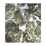 Mother Nature (Print Only) thumbnail