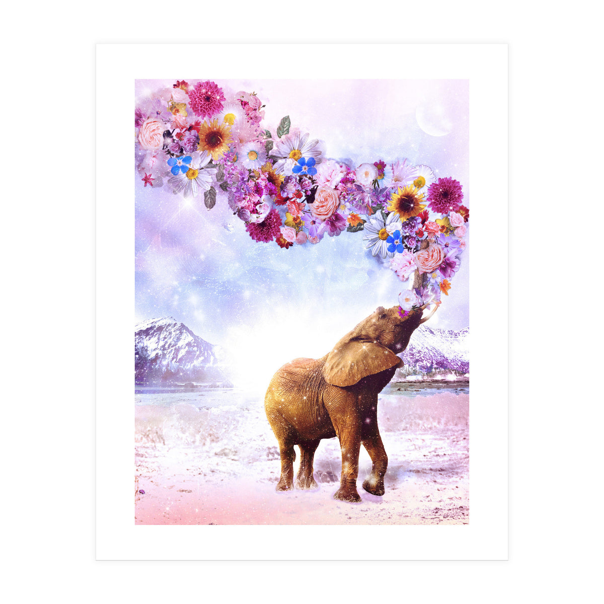 Daria - Supreme Majestic (Print Only)