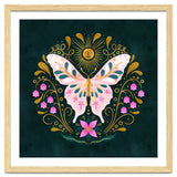 Butterfly And Sun thumbnail