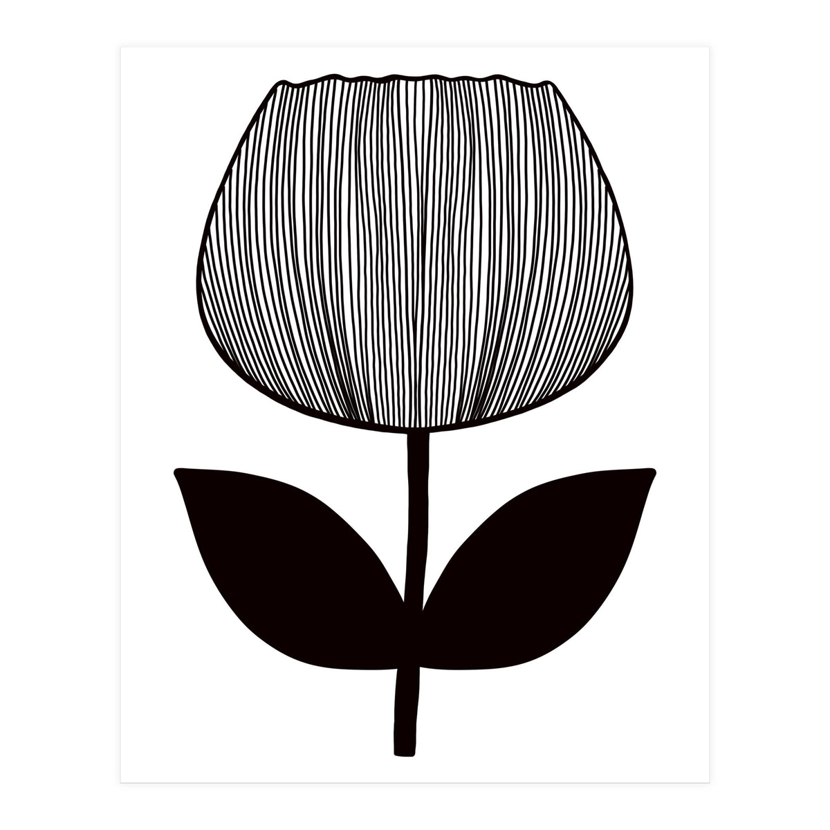 Tulip (Print Only)