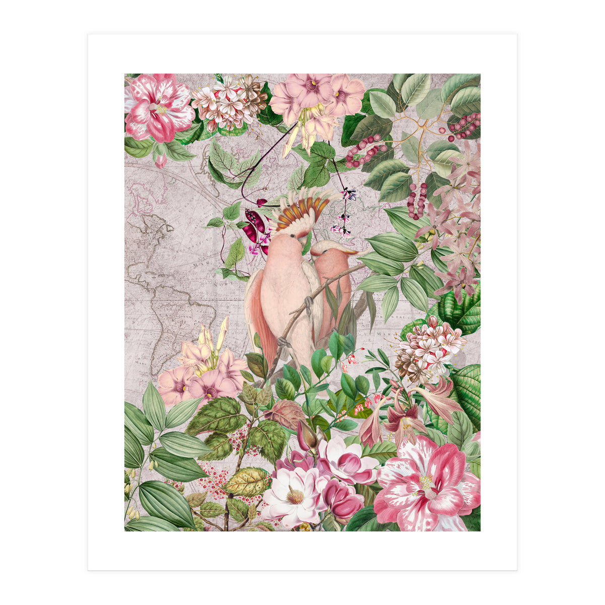 Parrot Exotic Jungle  (Print Only)