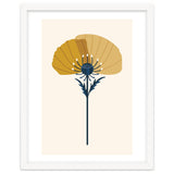 Ochre Half Poppy thumbnail