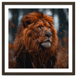 Majestic Lion King Of The Jungle Close Up Portrait thumbnail