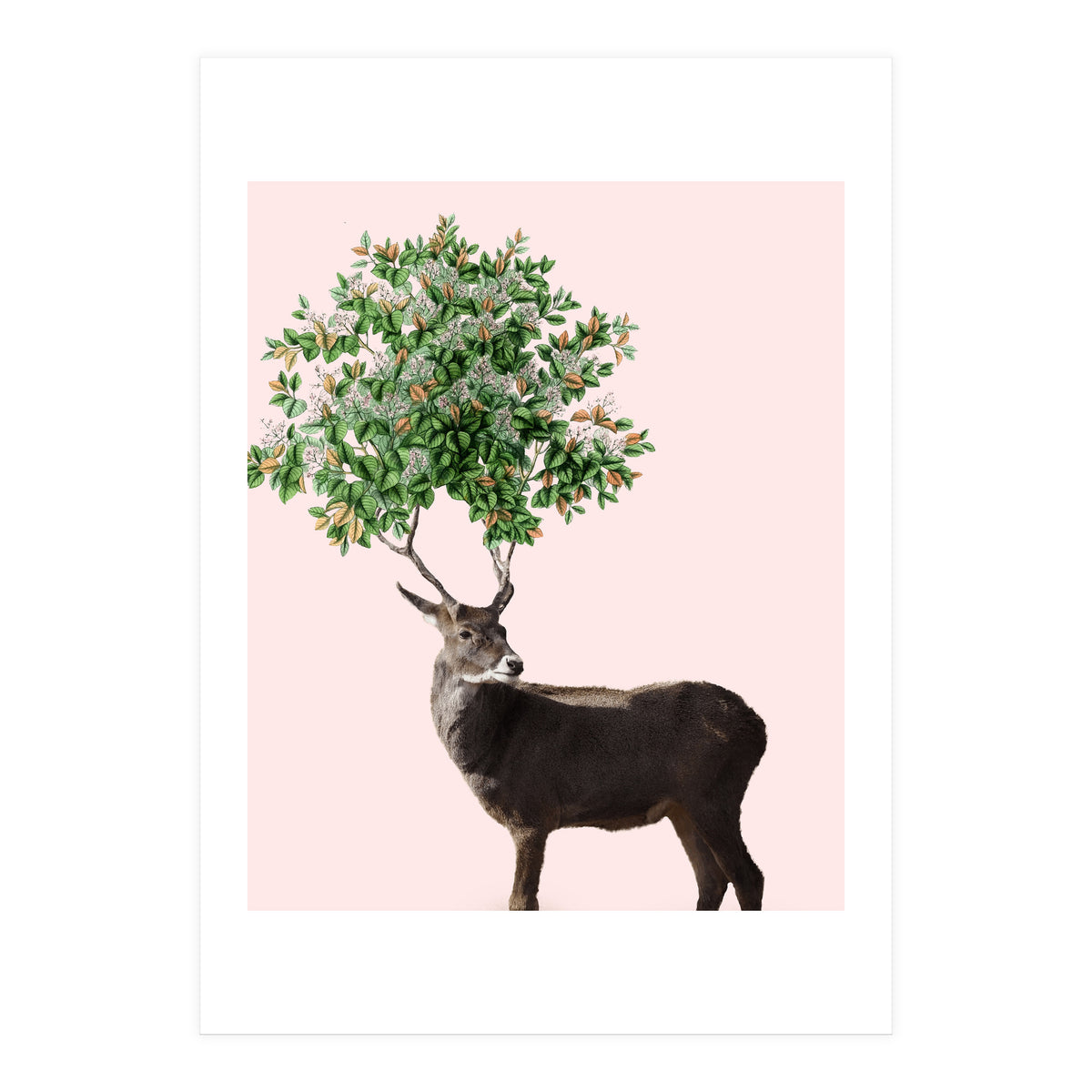 One With Nature V2 (Print Only)