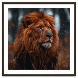 Majestic Lion King Of The Jungle Close Up Portrait thumbnail