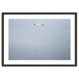 A flying seagull in the winter sky thumbnail
