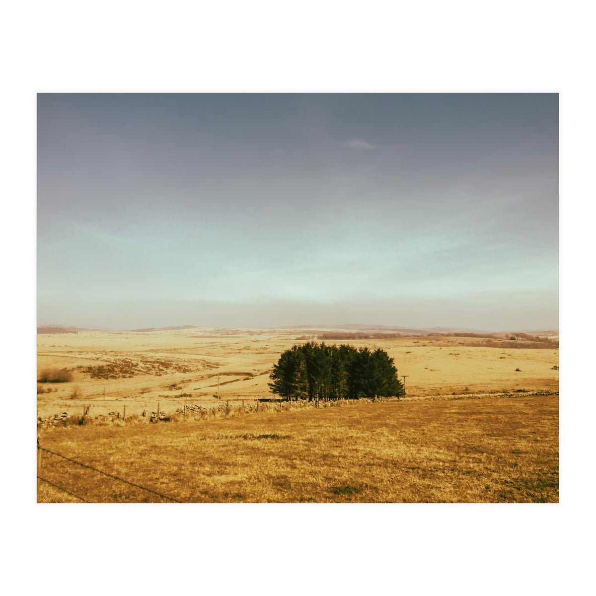 Dartmoor 2018 (Print Only)