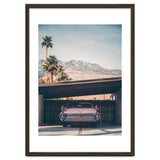Palm Springs Pink thumbnail