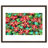 Red flowers thumbnail