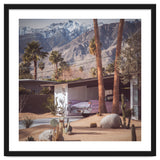Palm Springs Pink II thumbnail